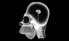 Cool Blog Sociale - 15 July 2008 - Homer Simpson's head through X-ray
