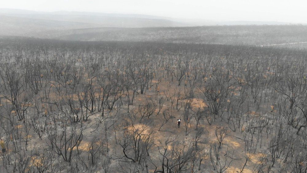 Australian bushfire devastation