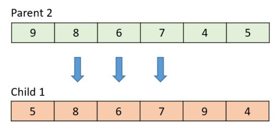 The following diagram shows the final result, with the arrows indicating how the genes were crossed over.