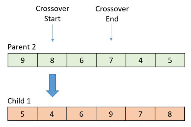 The following diagram shows the randomly selected start and end points, with the thick arrow indicating which gene is crossed over next.