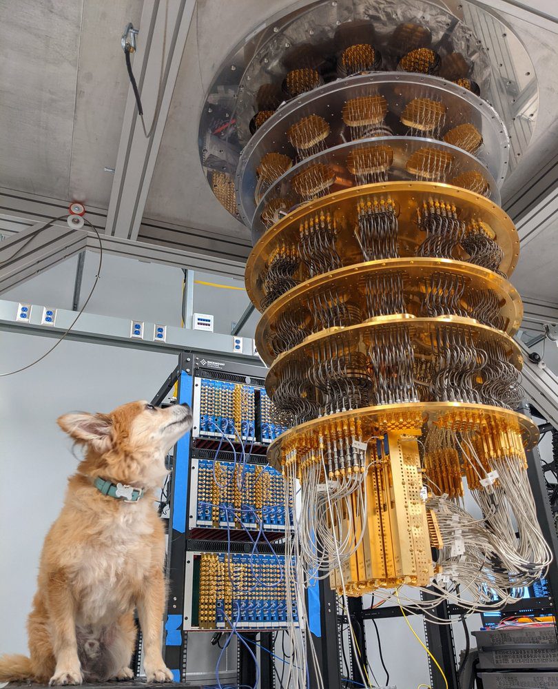 A small dog with light brown fur looks up at a quantum computer