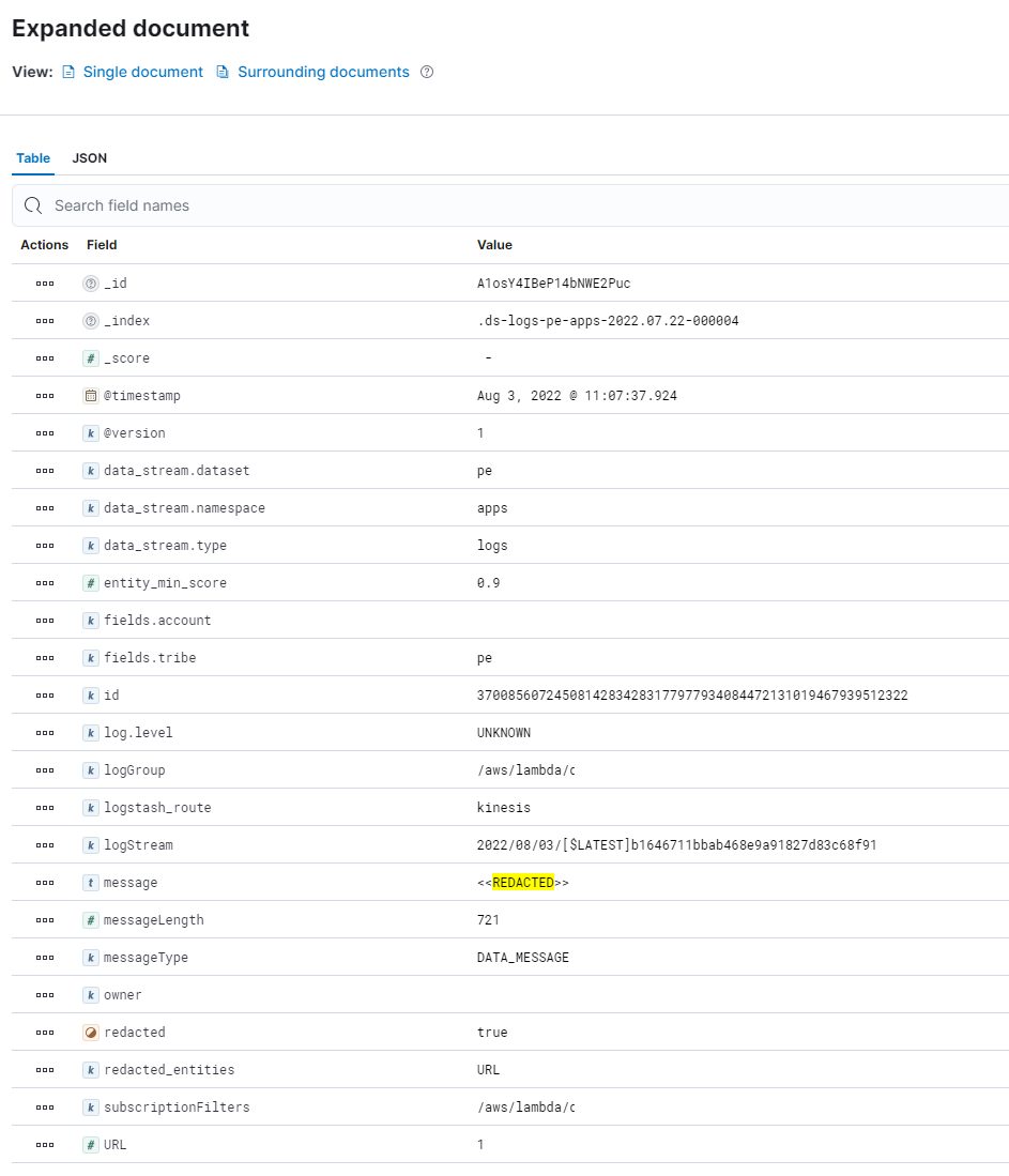 PII redacted output record sent to Elasticsearch