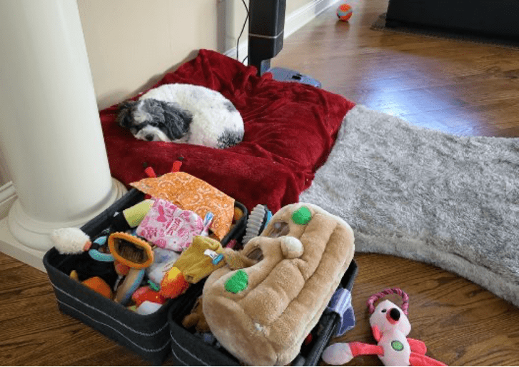 A dog sleeps on a red blanket on a hardwood floor, next to an open suitcase filled with toys..