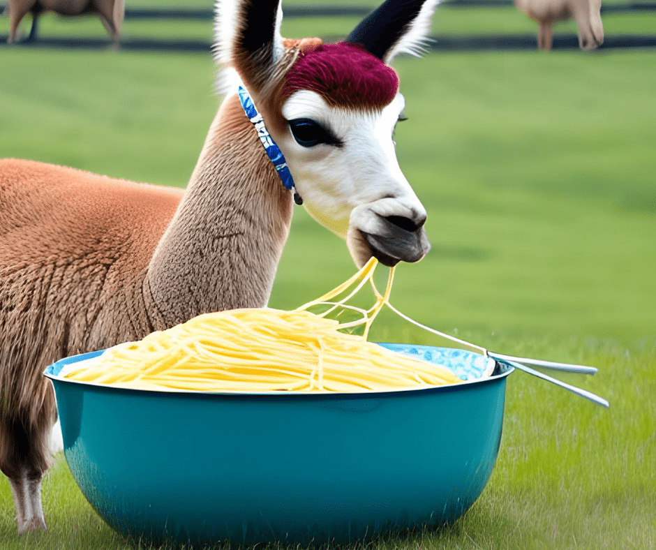 A llama eating spaghetti